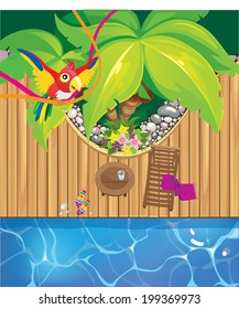 Beach pool and a parrot