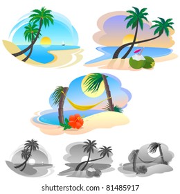 BEACH , SAND AND PALMS
