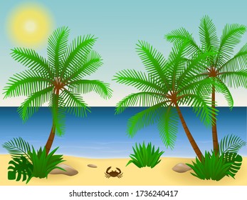 Beach in the sea with tropical plants. Palm trees, crab, monstera, jungle forest. Ocean. The sun. Vector illustration.