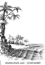 Beach and sea view, palm trees on shore