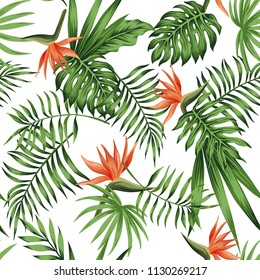 Beach seamless pattern wallpaper of tropical green leaves of palm trees and flowers bird of paradise (strelitzia) on a white background