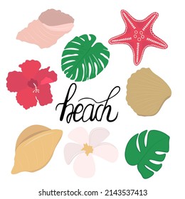 Beach set with leaf, seashell, starfish, flowers