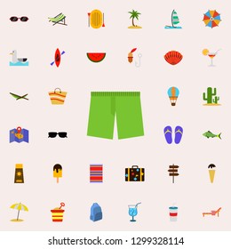 Beach shorts flat icon. colored Summer icons universal set for web and mobile