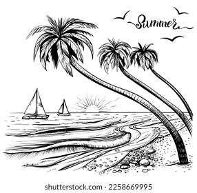 Esbozo de playa con palmeras, puesta de sol, regata de yates. Dibujo manual de ilustraciones vectoriales en blanco y negro de la vista costera.