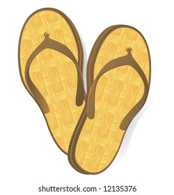 Beach slippers. Vector.