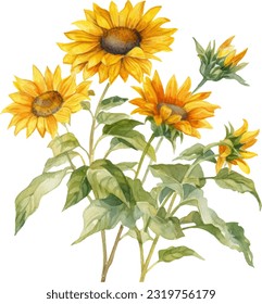 Beach Sunflower Watercolor illustration. Hand drawn underwater element design. Artistic vector marine design element. Illustration for greeting cards, printing and other design projects.