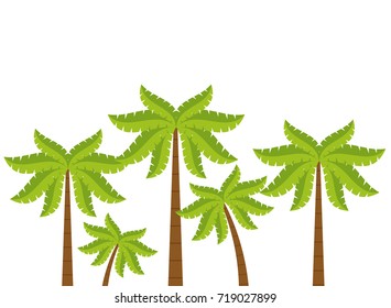 Beach tree palms