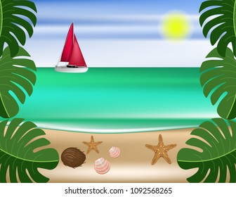 Beach tropical plants
