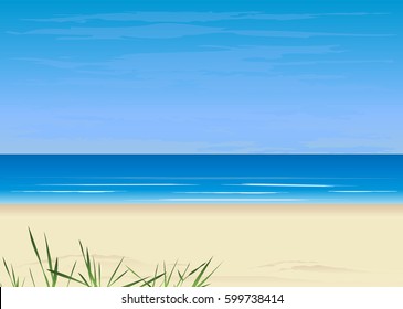 Beach and tropical sea