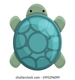 Beach turtle icon. Cartoon of Beach turtle vector icon for web design isolated on white background