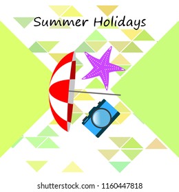 beach umbrella camera starfish summer holiday vector background