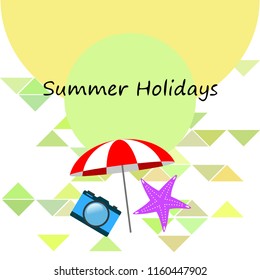 beach umbrella camera starfish summer holiday vector background