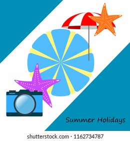 beach umbrella camera starfish summer holiday vector background