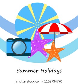 beach umbrella camera starfish summer holiday vector background