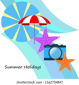 beach umbrella camera starfish summer holiday vector background