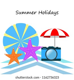 beach umbrella camera starfish summer holiday vector background
