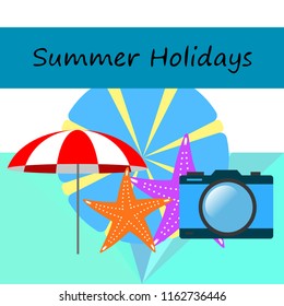beach umbrella camera starfish summer holiday vector background