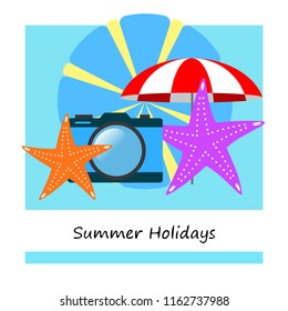 beach umbrella camera starfish summer holiday vector background
