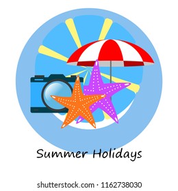 beach umbrella camera starfish summer holiday vector background