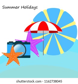 beach umbrella camera starfish summer holiday vector background