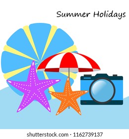 beach umbrella camera starfish summer holiday vector background