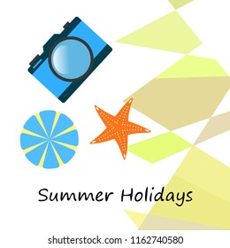beach umbrella camera starfish summer holiday vector background
