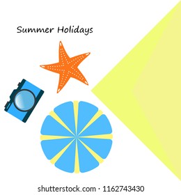 beach umbrella camera starfish summer holiday vector background