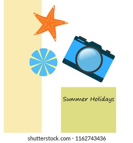 beach umbrella camera starfish summer holiday vector background