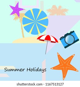 beach umbrella camera starfish summer holiday vector background