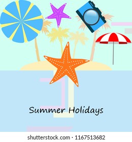 beach umbrella camera starfish summer holiday vector background