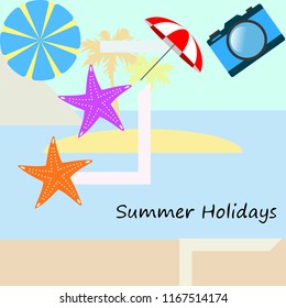 beach umbrella camera starfish summer holiday vector background