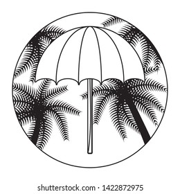 beach umbrella with tropical palm in frame