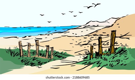 The beach vector for illustration, background, card