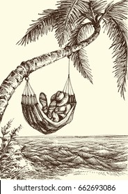 Beach vector illustration, palm tree and hammock sea view