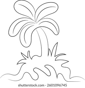 Beach water summer sunset beach vacation