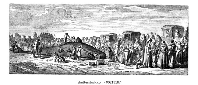 Beached whale. - Drawing Bocourt, after a print of the collection Mouilleron, vintage engraved illustration. Beached Whale.  Magasin Pittoresque 1875.