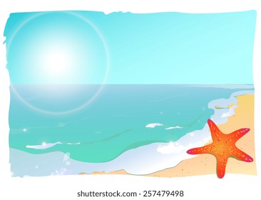beach,nature