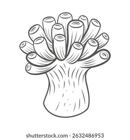 Beaded Anemone Line Art Illustration