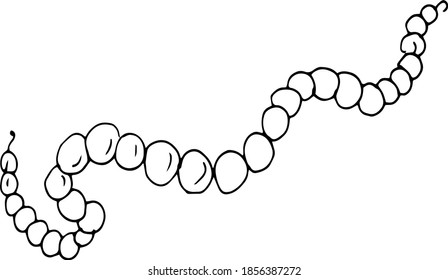 Beads, bracelet, beads, pearls. Female decoration. Vector illustration, sketch, doodle hand drawn. New year, winter holidays, christmas. Graphics black and white, contour line on a white background 