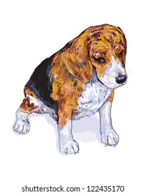 Beagle