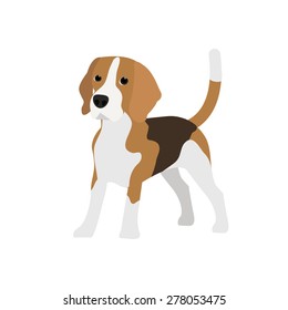 Beagle