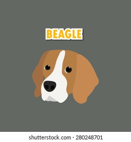 Beagle