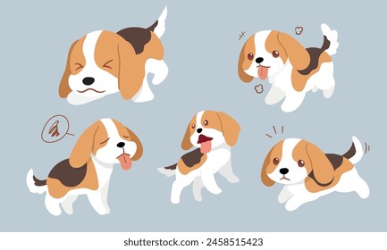 Beagle Action Series, Diverse Poses Collection