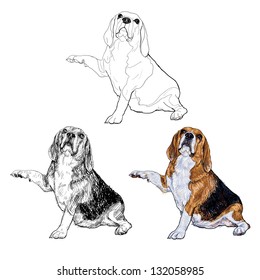 Beagle in the begging hand pose.