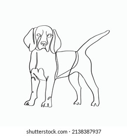 beagle breed dog in style line drawing, vector