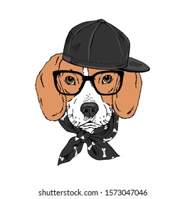 Beagle breed dog wear glasses, cap, bandana isolated on white background Symmetrical pet head portrait. Realistic hand drawn vector illustration.