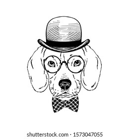 Beagle breed dog wear glasses, plaid tie bow, bowler hat isolated on white background Symmetrical pet head. Realistic hand drawn vector illustration.