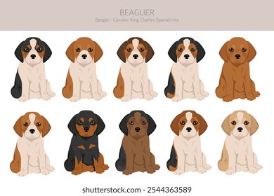 Beagle Cavalier King Charles Spaniel mix. Beaglier clipart. Different coat colors set.  Vector illustration