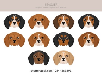 Beagle Cavalier King Charles Spaniel mix. Beaglier clipart. Different coat colors set.  Vector illustration