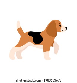 Beagle. Cute dog character. Vector illustration in cartoon style for poster, postcard.
